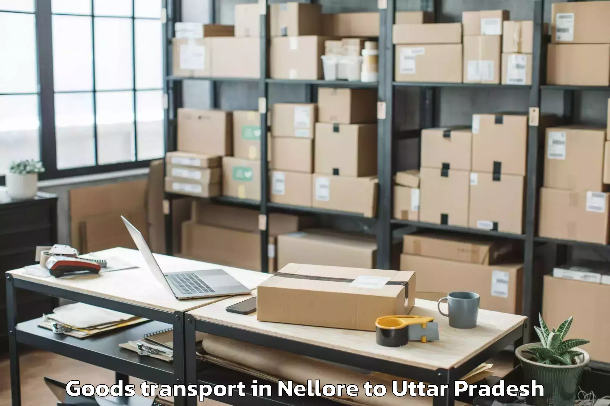 Discover Nellore to Auraiya Goods Transport